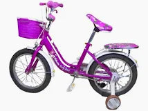 Lady Bird 16-Inch Girls Bicycle with Training Wheels – Kids Bike with Basket & Rear Carrier