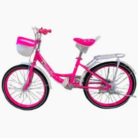 Lady Bird 20-Inch Girls Bicycle with Front Basket & Rear Carrier – Stylish Kids Bike